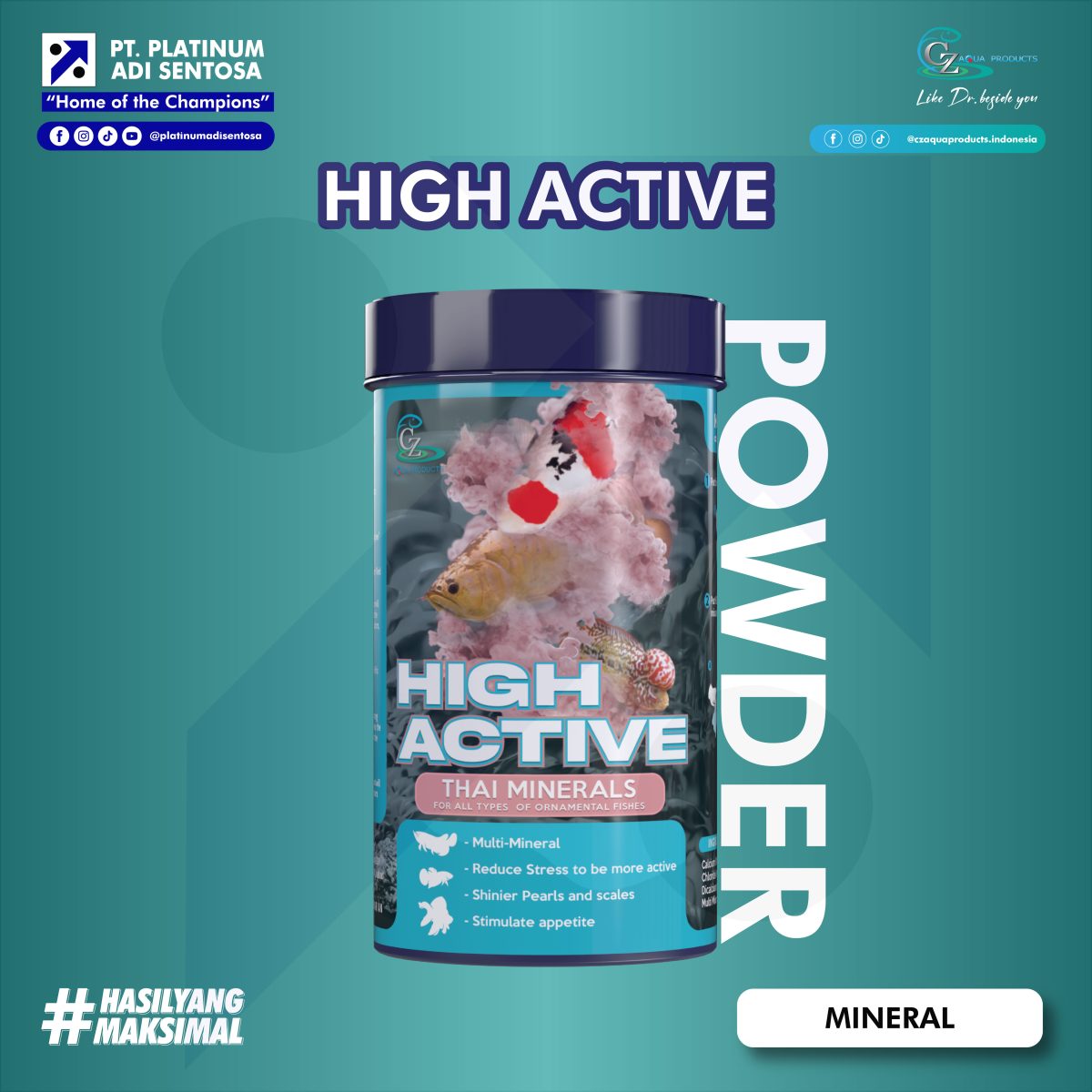High Active