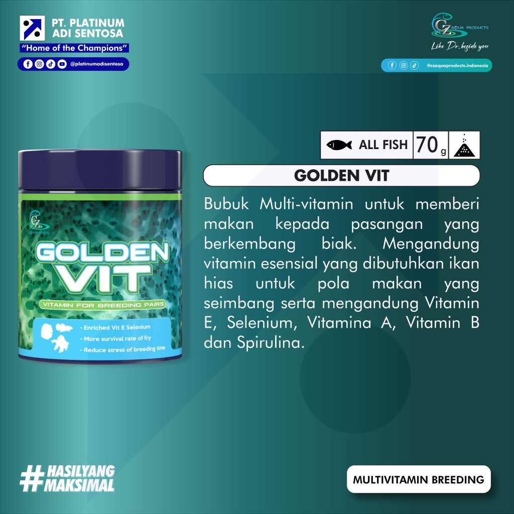 CZ Aqua Product_Golden Vit_Deskripsi
