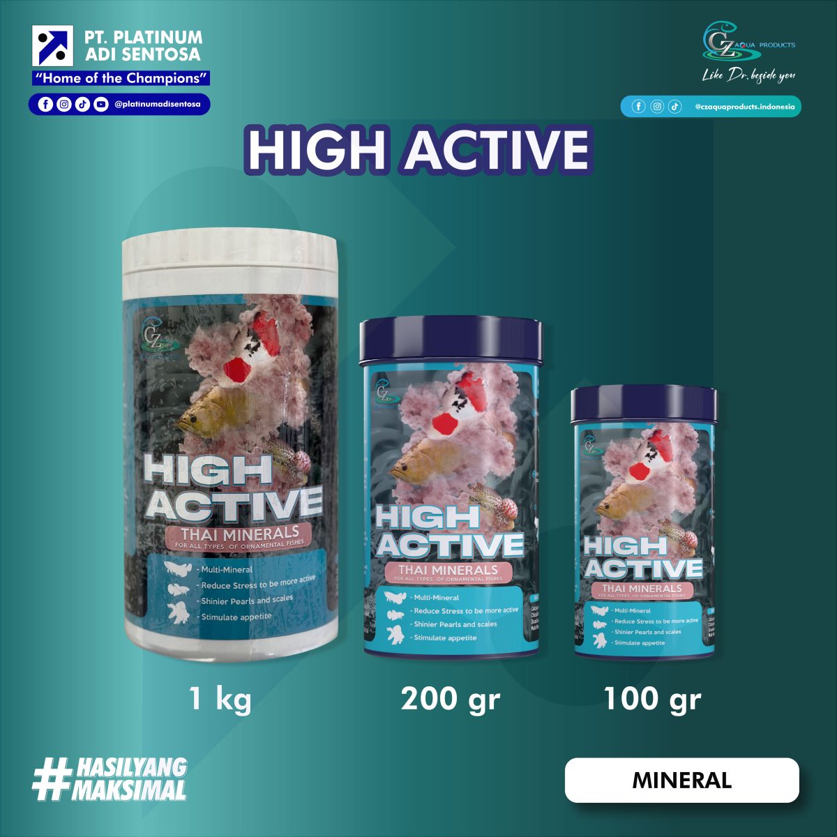 High Active