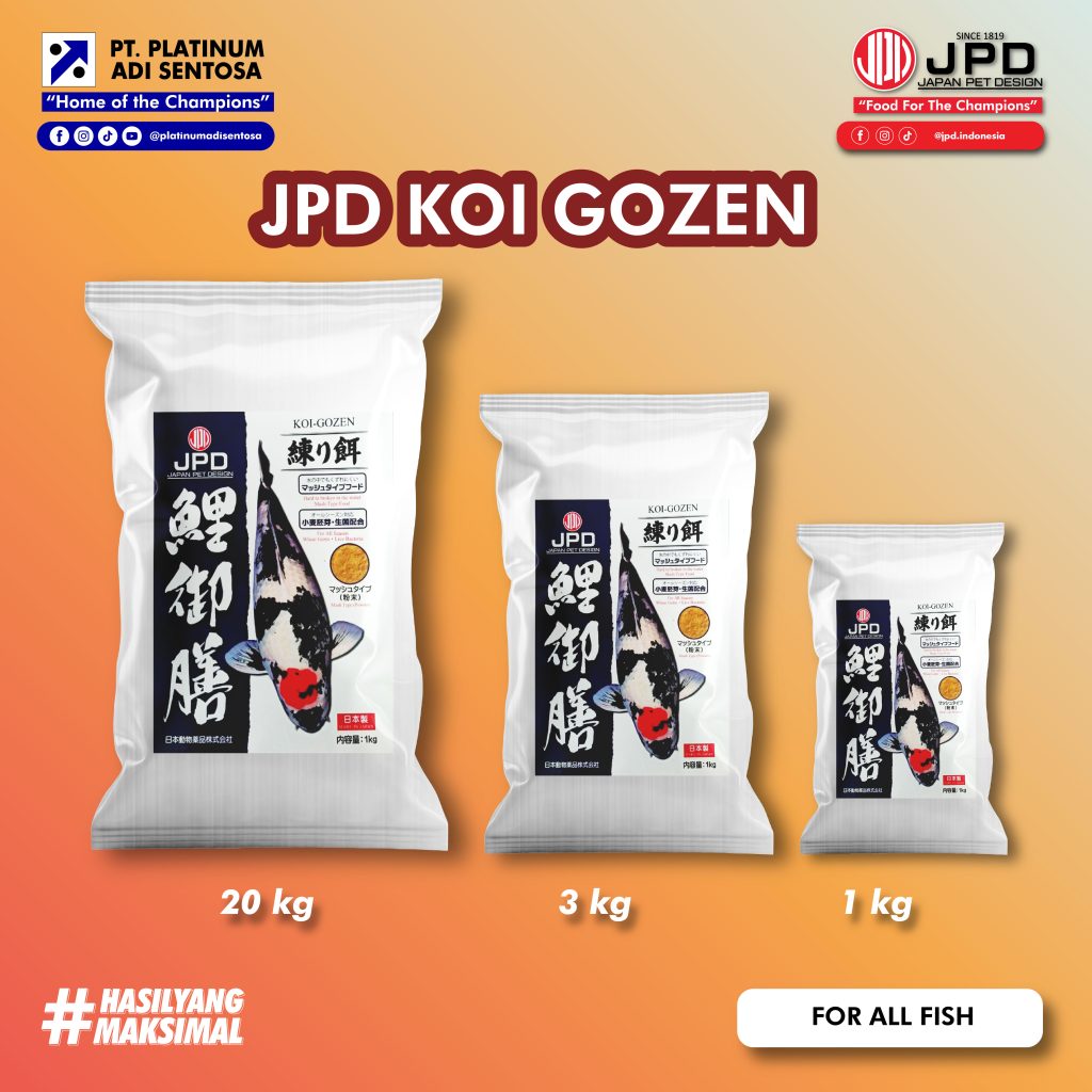 02_ JPD_Koi Gozen_Kemasan
