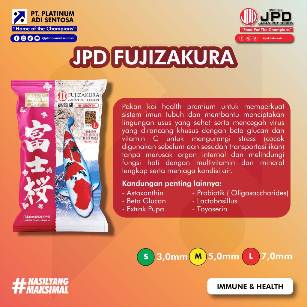 04 JPD_Fujizakura_Deskripsi