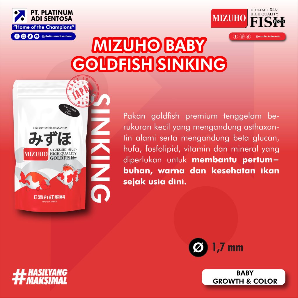 Mizuho Baby Goldfish Sinking_Deskripsi