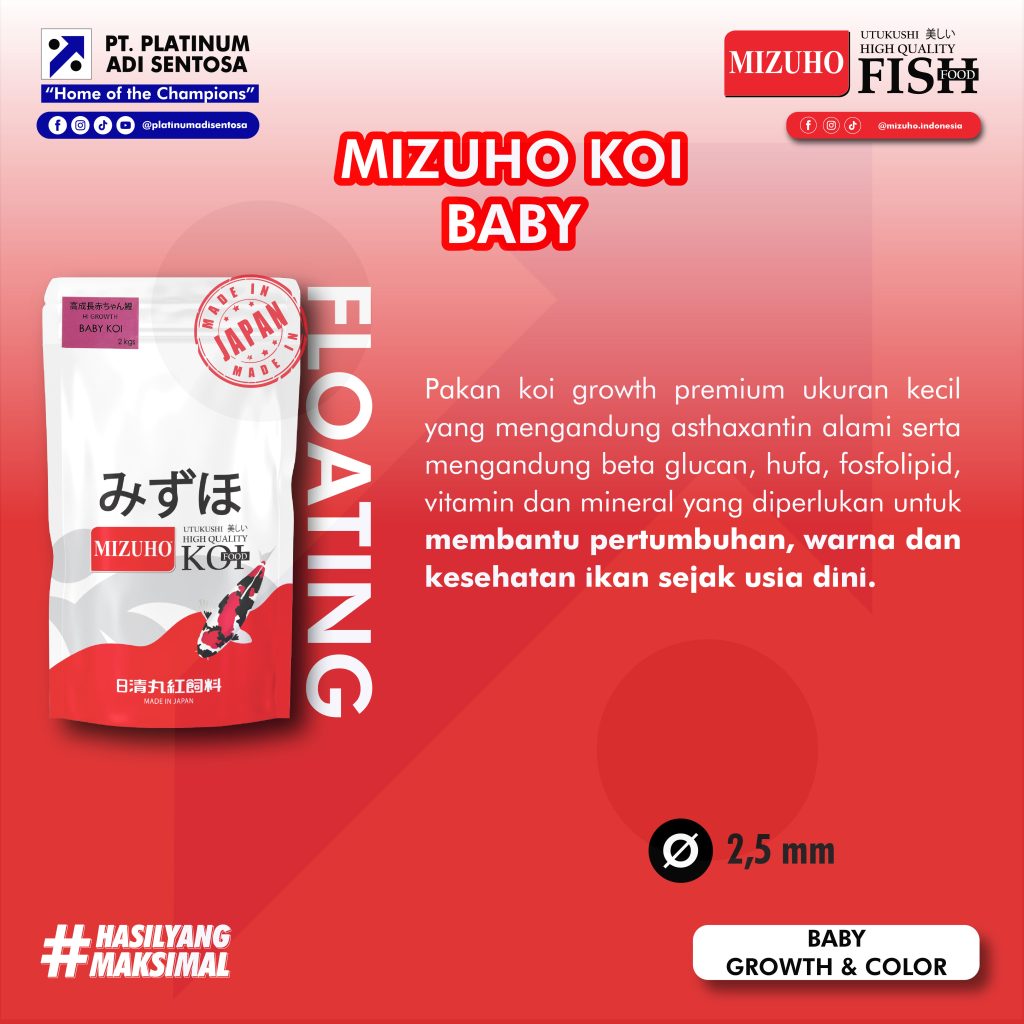 Mizuho Koi Baby_Spesifikasi