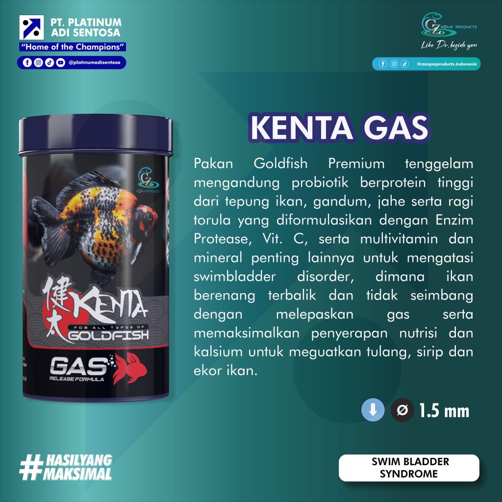 CZ Aqua Product_Kenta Gas_Deskripsi