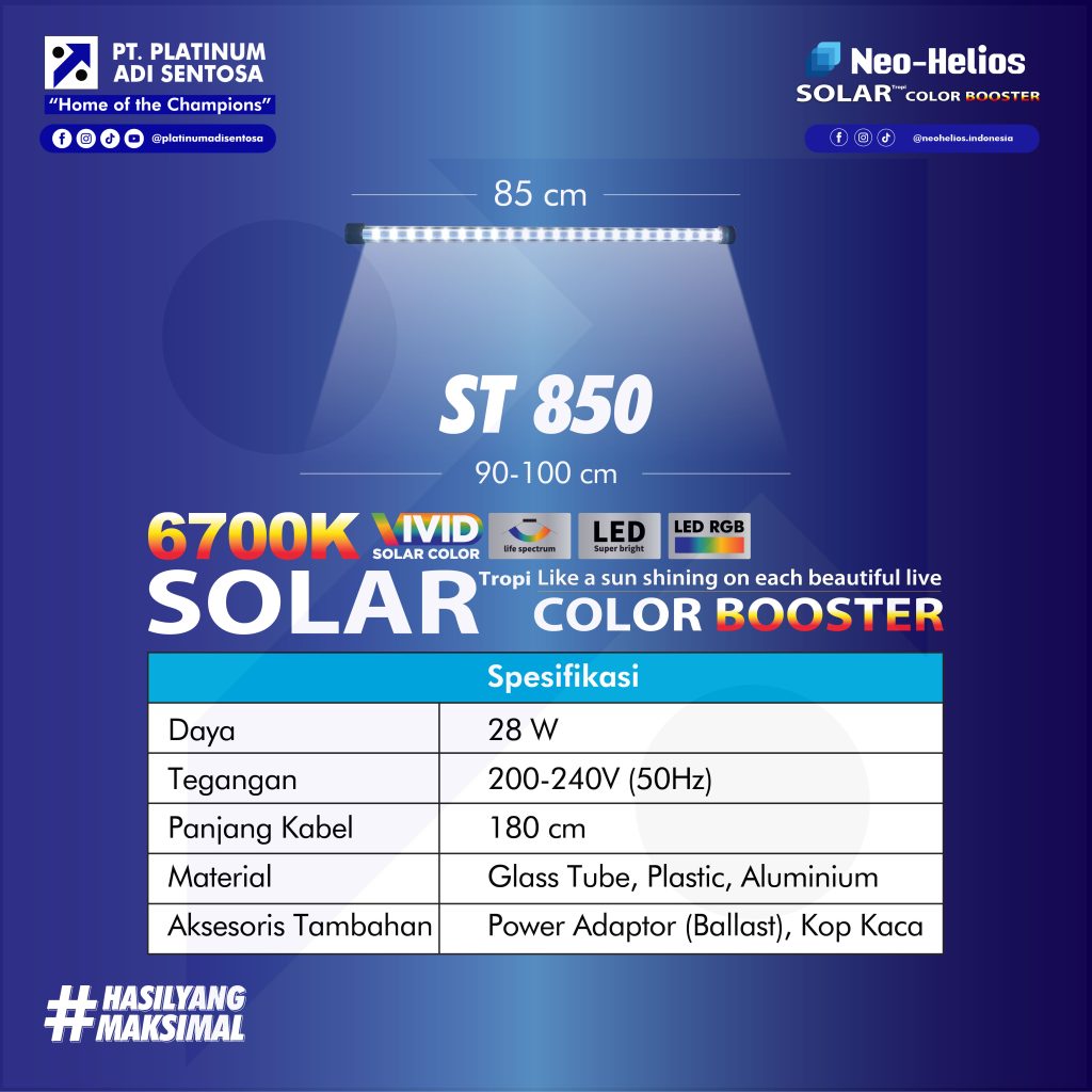 07 Neo Helios_Solar Color Booster_Varian 5