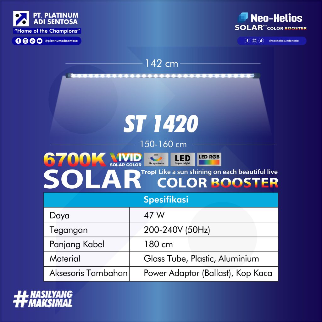 10 Neo Helios_Solar Color Booster_Varian 8