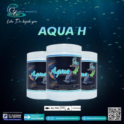Aqua H