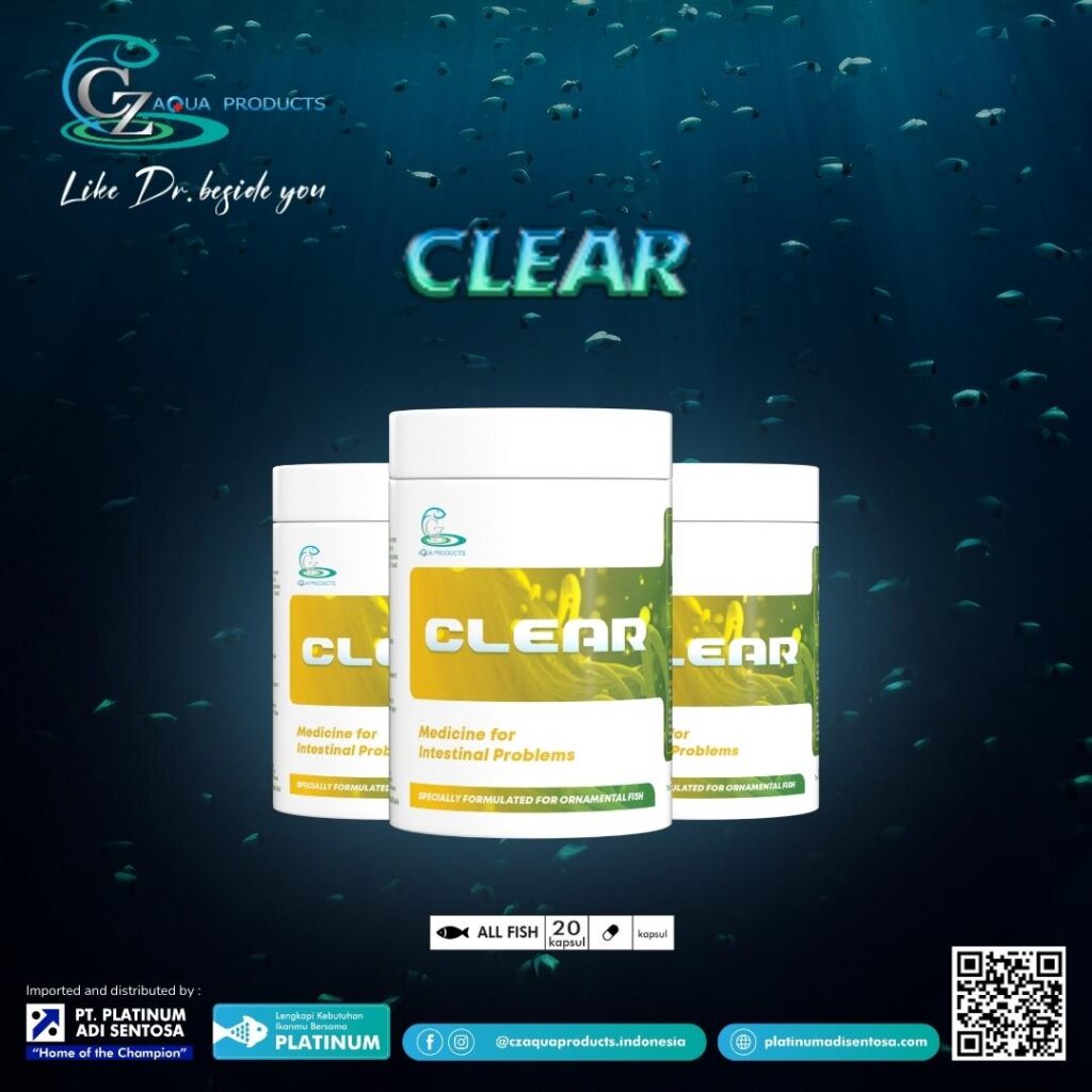 CZ Aqua Product - Clear_Cover