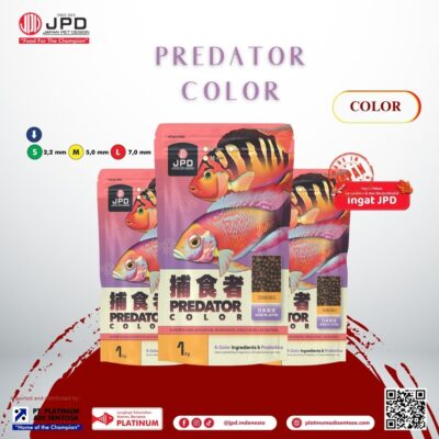 JPD Predator Color