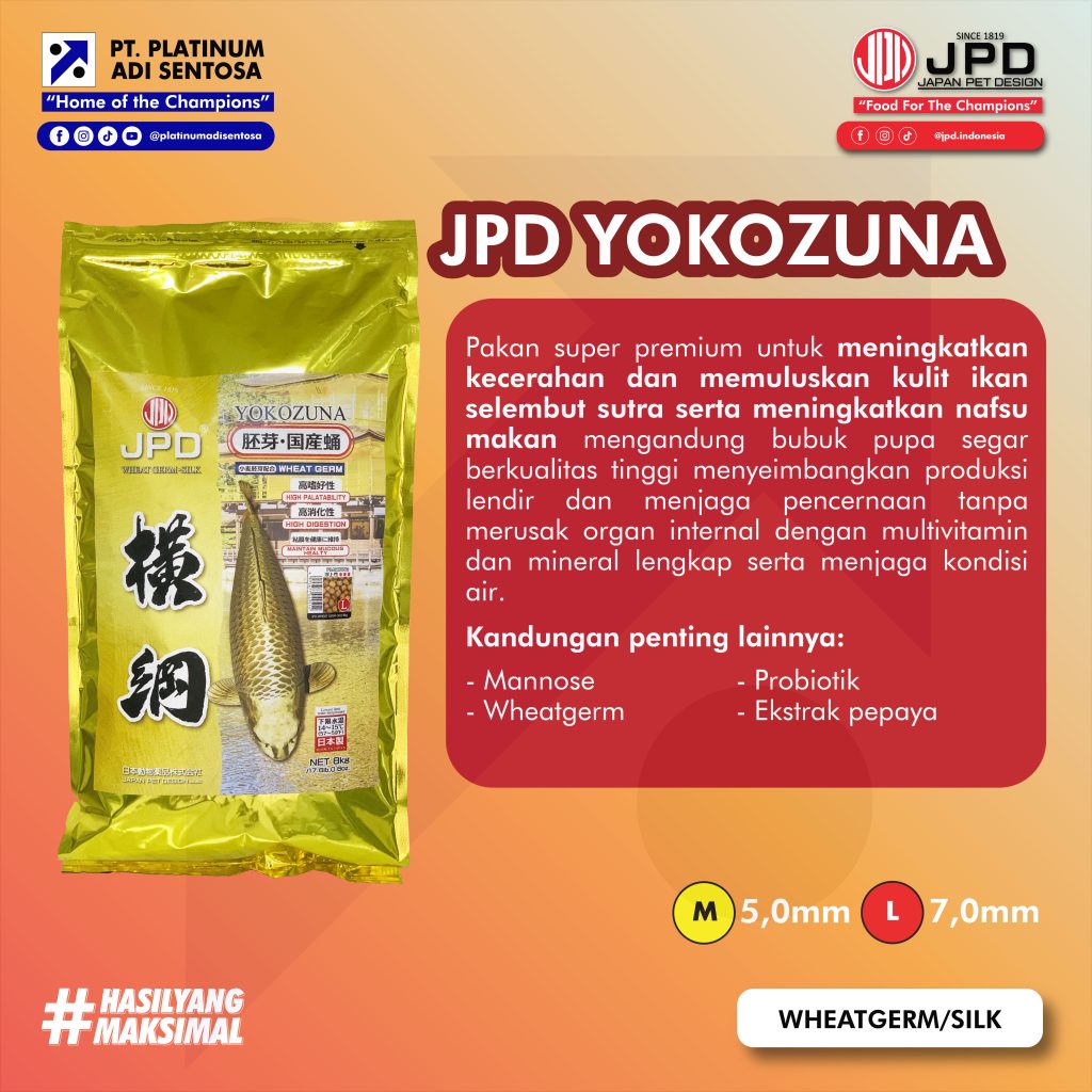 03 JPD_Yokozuna_Dekripsi