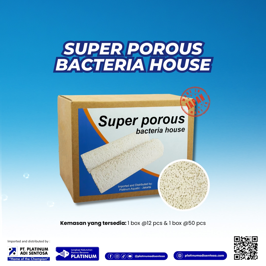 Super Porous Bacteria House