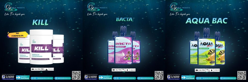 Melakukan Karantina Untuk Ikan Baru dan yang Sakit