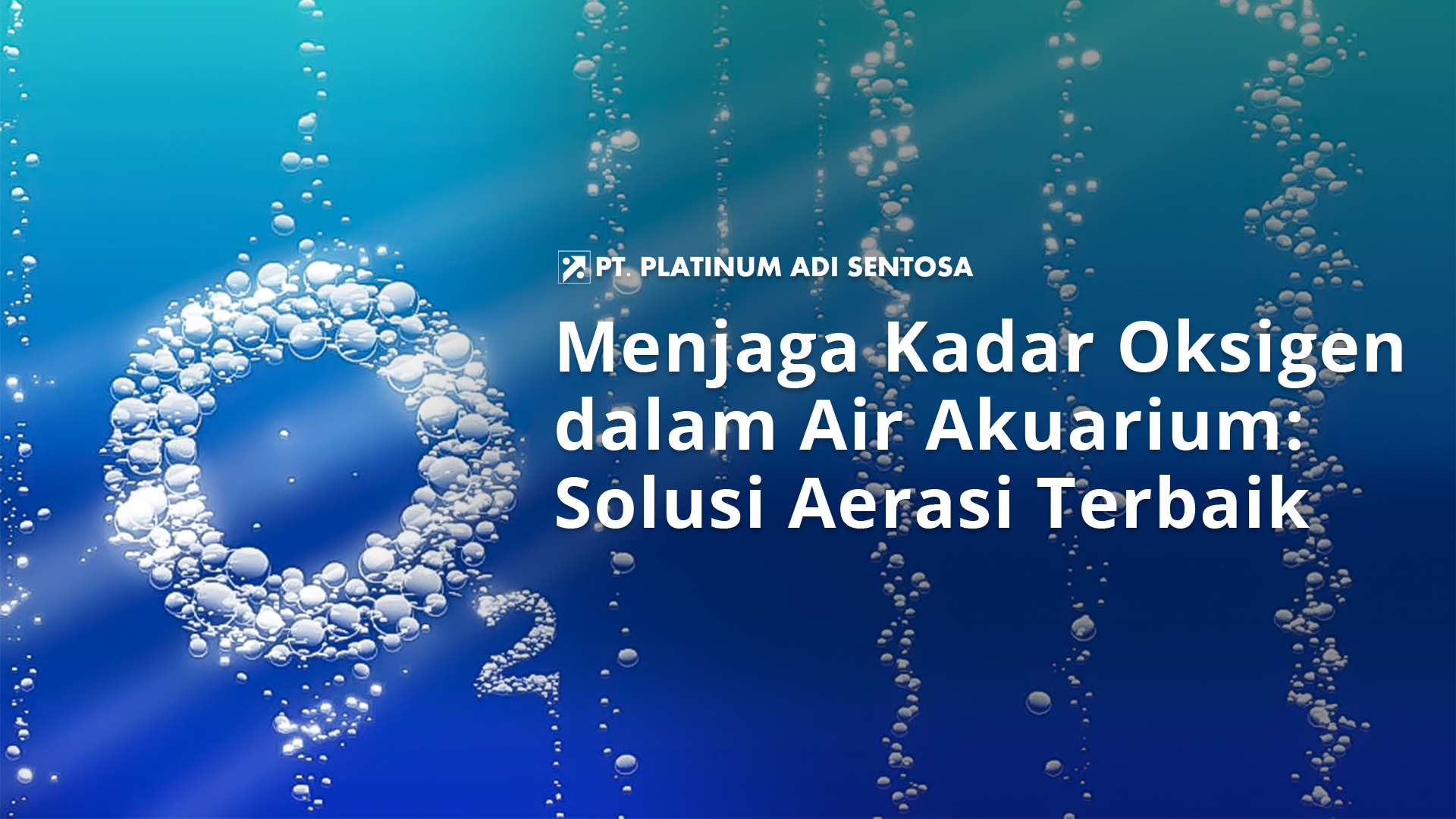 Oksigen Rendah Menjaga Kadar Oksigen dalam Air Akuarium: Solusi Aerasi Terbaik