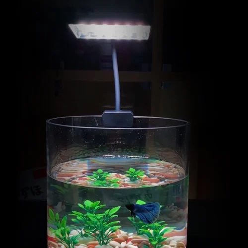 Aquascape Auto Cantik Dengan Lampu LED Aquascape Mini Ini!
