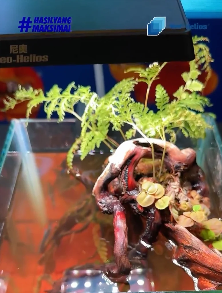 Desain Minimalis, Premium, dan Kompatibel dengan Aquascape Mini
