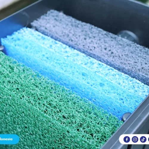 Media Filter Akuakultur Ini Bikin Ikan Sehat & Kolam Jernih