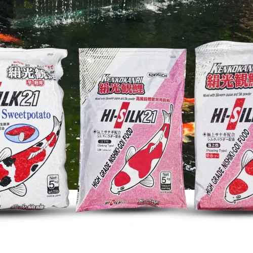 Rekomendasi Pakan Dengan Sumber Protein Tinggi untuk Koi
