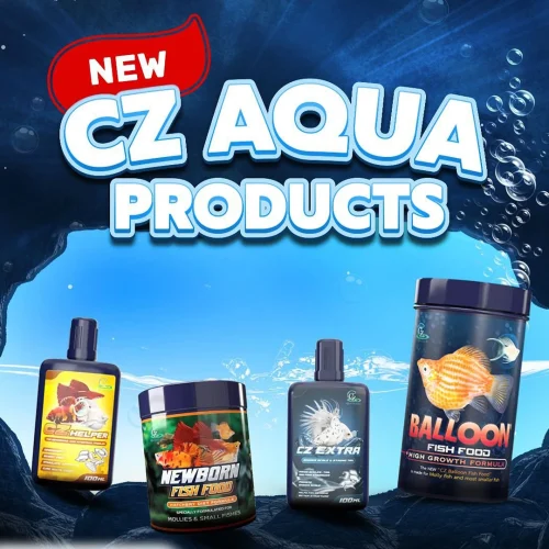 Produk Terbaru CZ Aqua Products, Jaga Kesehatan Ikan Hias 