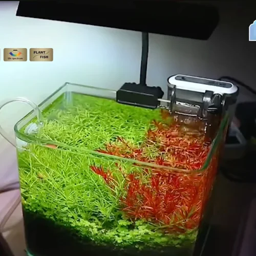 Intip 8 Keunggulan Lampu Nano yang Mengubah Akuarium Anda