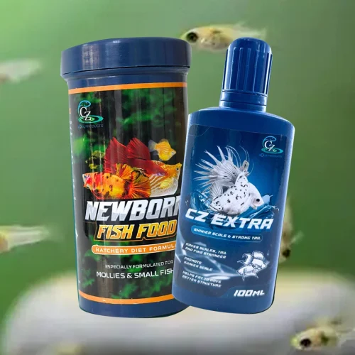 Pakan dan Suplemen Terbaik untuk Anakan Ikan Cupang Sehat