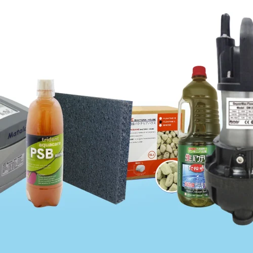 Rekomendasi Perlengkapan Rehabilitasi Maksimal Kolam Koi Terbaik