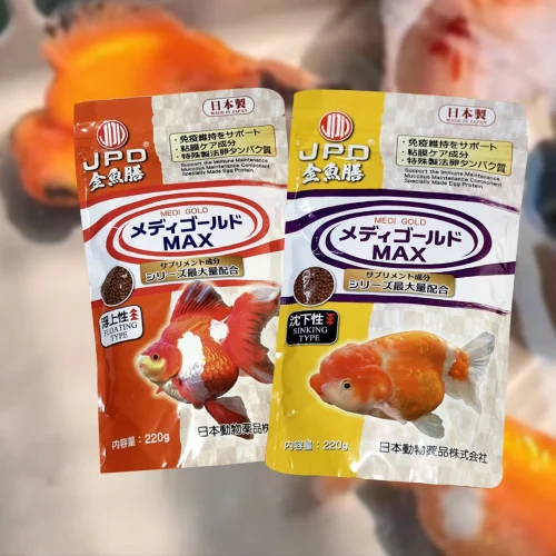 Ternyata Ini Pentingnya Pelet Goldfish Sehat Maksimal untuk Cuaca Pancaroba