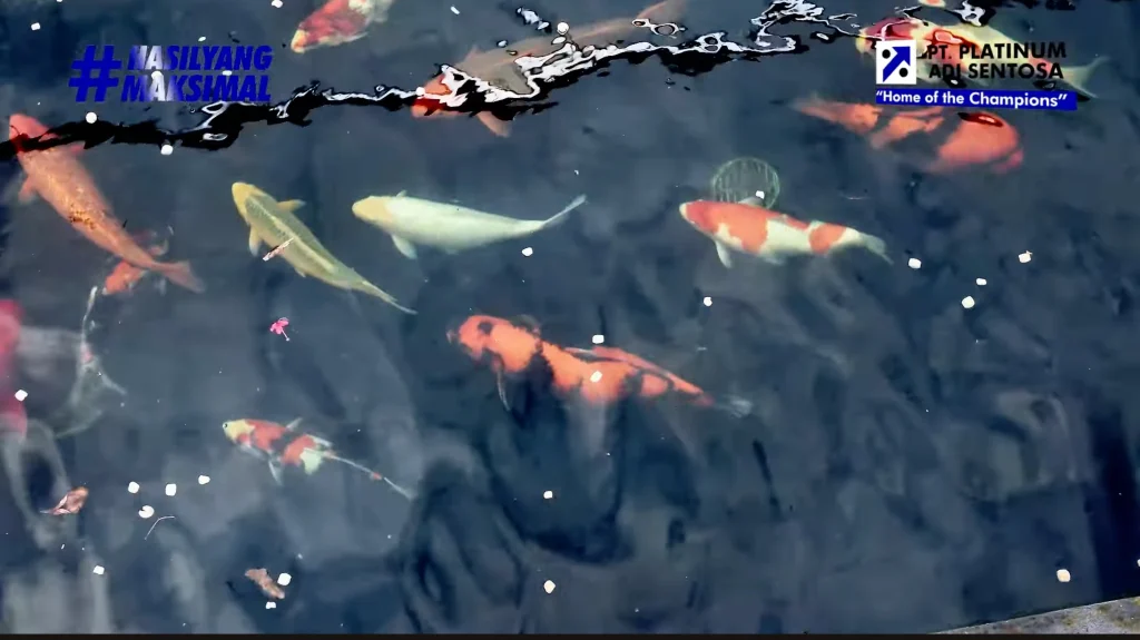 Variasi Nutrisi untuk Kesehatan Optimal