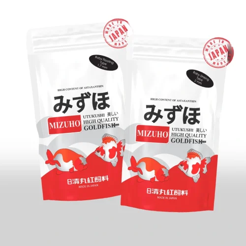 8 Langkah Transisi Pakan Goldfish untuk Pertumbuhan Optimal