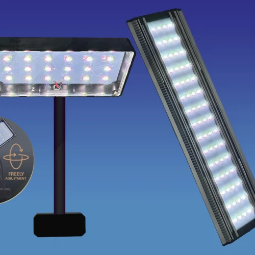 Inilah Kelebihan Lampu LED Akuarium Flat untuk Ikan Hias