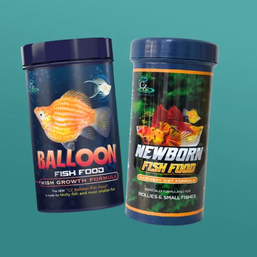 Ini Pakan Ikan Hias Kecil Berkualitas yang Kaya Nutrisi