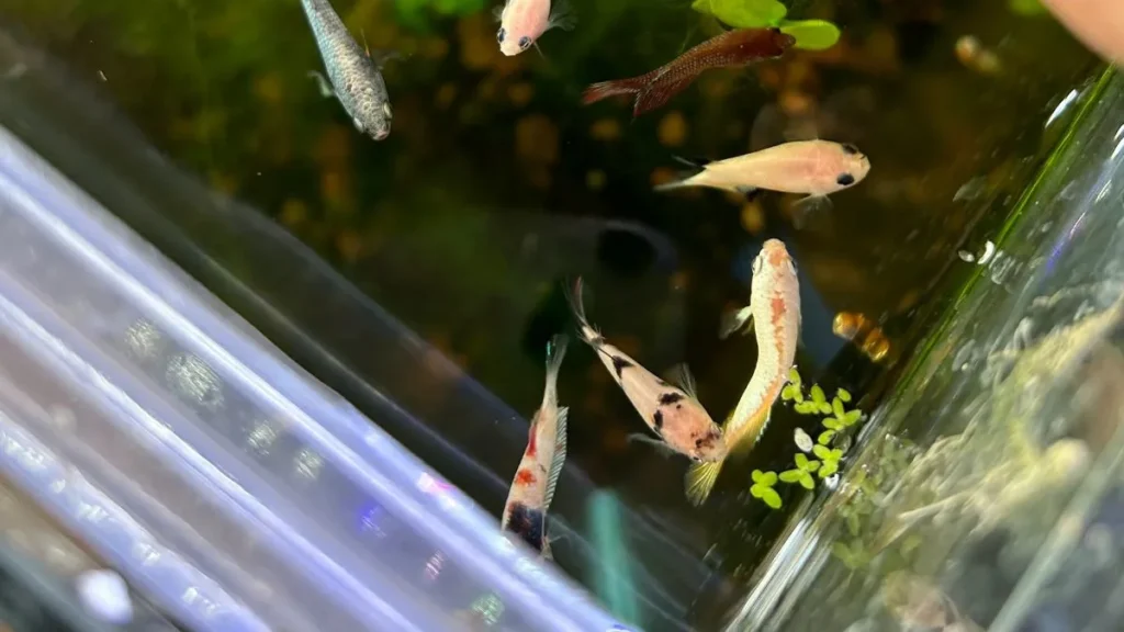 Catat dan Evaluasi Setiap Hari Tanpa Terkecuali